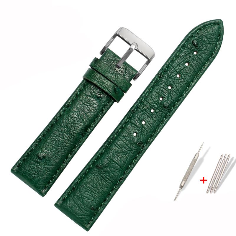 Genuine Watchband Ostrich Leather Strap Fit Seiko Omega Citizen Universal Bracelet 18mm 20mm 21mm 22mm Watch Band Brown Green