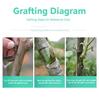 Self-adhesive PE Grafting Tape Film Stretchable Garden Tree Plants Seedlings Vine Tomato Grafting Accessories
