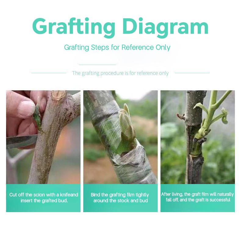 Self-adhesive PE Grafting Tape Film Stretchable Garden Tree Plants Seedlings Vine Tomato Grafting Accessories