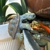 Cute 3D Turtle Hanging Ornaments Decorative Cartoon Small Turtle Pot Hanging Handmade Simulated Turtle Ornaments Home Decor
