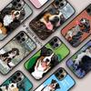 Telefon kapları – Smartphone Bumper Kılıflar