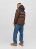Demi-season Jacket Jack & Jones Jjetoby Puffer Hood SN (12235859) Seal Brown