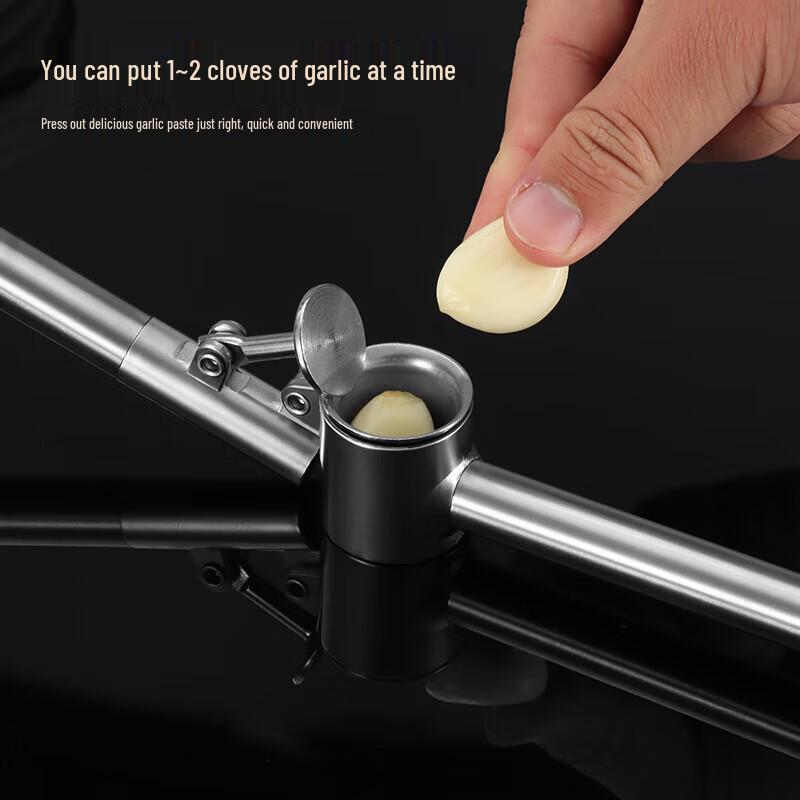 Baijie 304 Stainless Steel Garlic Press