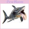Modello di Dinosauro Marino Helicoprion Per Bambini Giocattolo Realistico in PVC Educativo