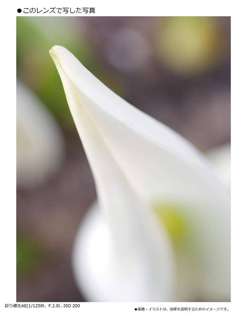 Panasonic Single Focus Macro Lens for Micro Four Thirds Lumix G MACRO MEGA Black 30mm/ F2.8 ASPH. / O.I.S. H-HS030