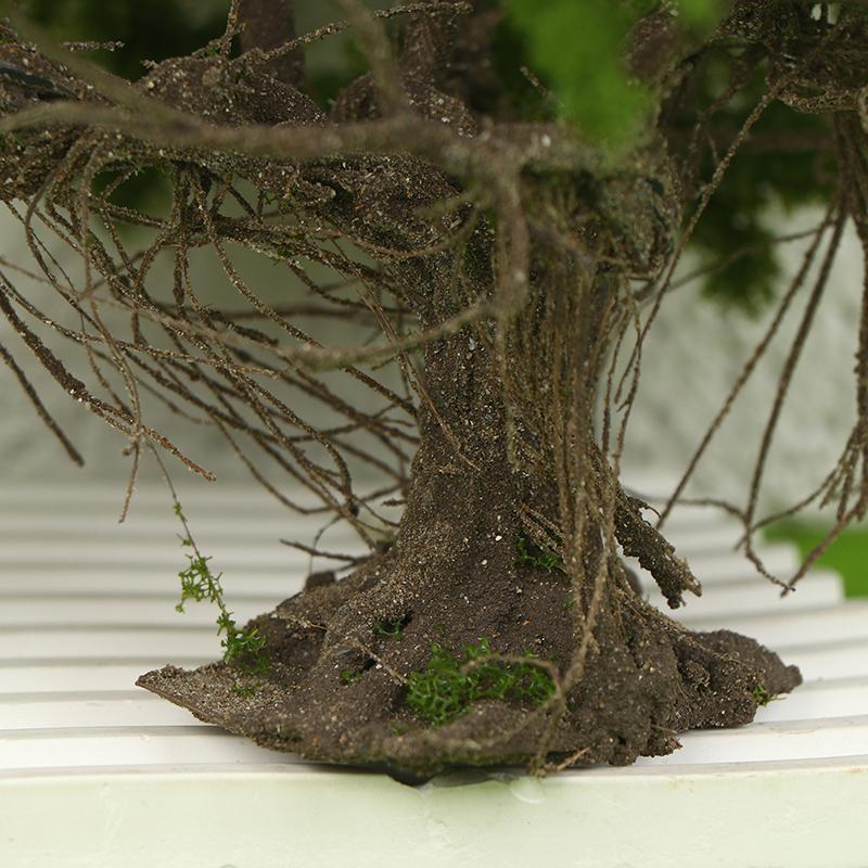 12/15cm Hohe Qualität Drahtmodellbaum Mikro-Landschaft Landschaftsgestaltung Dekoration Sandtisch Park Szenerie DIY Material