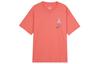 T Shirts Men's Orange Crew Neck Moderate Straight Fit FJ2320-850