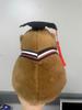 23Cm Graduation Capybara Plush Dolls Stuffed Animal Doctoral Cap Graduation Plush Toys Graduation Gifts