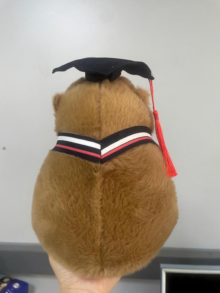 23Cm Graduation Capybara Plush Dolls Stuffed Animal Doctoral Cap Graduation Plush Toys Graduation Gifts