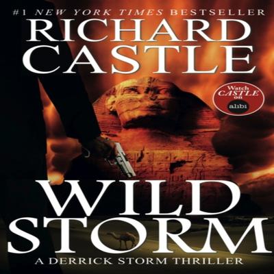 Wild Storm by Richard Castle Paperback Book 9781783294305