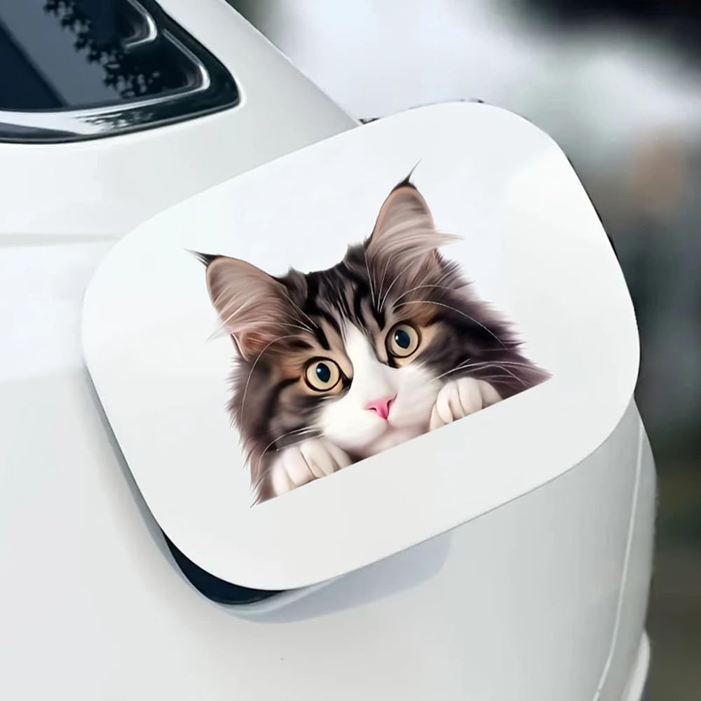 2 Cute Kittens Pack of Vinyl Decals Stickers, Covered Waterproof