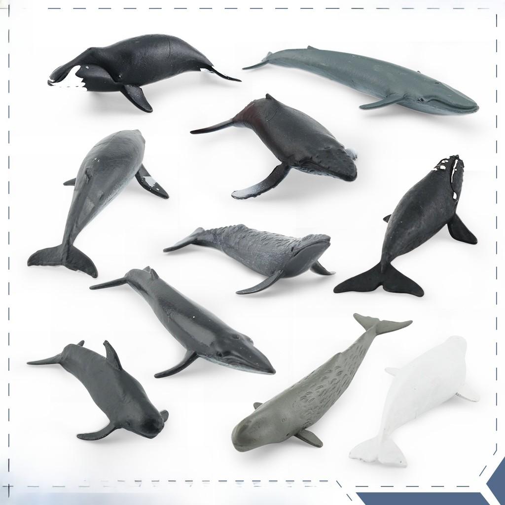 Meereslebewesen Beluga Wal Und Wal Nachbildung Modell Set PVC Spielzeug Für Aquarium Dekoration