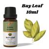 Ananta Bay Leaf Essential Oil 10 Ml | Spicy Herbal Aromatic Oil | Diffuser & Home Fragrance Use