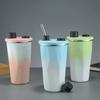 IOLOYU Tumbler with Straw and Lid, Spill-Proof, Car-Ready Insulated Mug, 600ml, Coffee Mug with Lid, Large Capacity, Straw, Stainless Steel Insulated