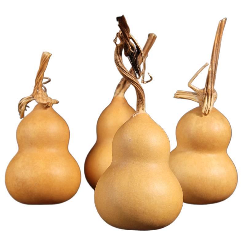 Biao Yun Dragon Head Gourd Handheld Ornament - Miniature Wenwan Collection Piece