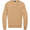 Polo Washable Wool V-Neck Pullover Sweater Men Sweater 710941105-009