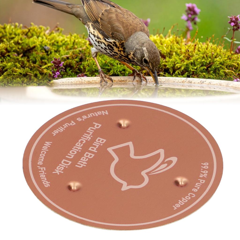Bird Bath Copper Disk Bird Bath Purification Disk Birdbath Accessories with Triple Point Support
