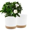 Set of 2 White 25.4 Cm Pots for Indoor Plants with Drainage and Removable Saucer