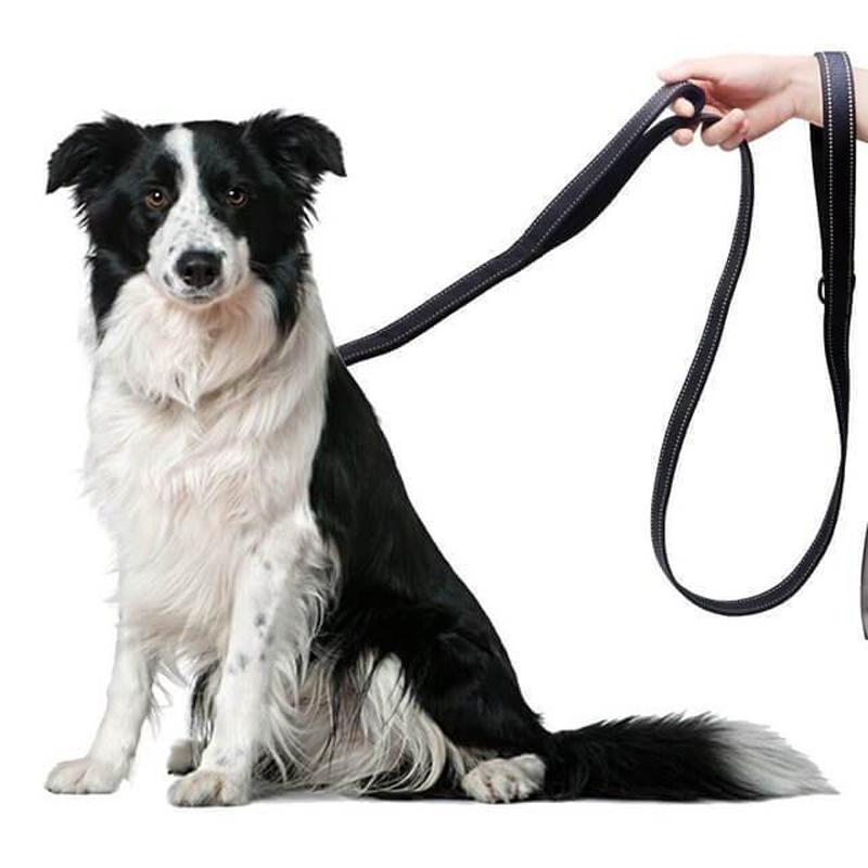 1.8m Two Handle Heavy Duty Nylon Dog Leash For Training Control Guard Rope Walking Cat Dog Harness Lead Reflective Night Safety