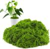 1PACK /200g Simulated Moss Artificial Micro Landscape Ornament Moss Bonsai Potted Plant Decorative Landscaping False Filamentous Wool Moss