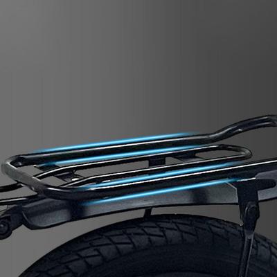 Carrier for Children, Rear , Luggage Rack Various Models