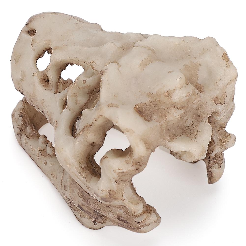 Dinosaur Skull, Fish Box Small Skull Aquarium Decorations Dinosaur Skeletons Aquarium Ornaments Skeleton Hole Artificial Dinosaur Skull Skeleton Orna