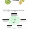 HARUHARU WONDER Centella Phyto & 5 Peptid Konzentrat Creme