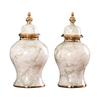 Ceramic Flower Vase Ornament ,Floral Arrangement ,Storage Jar ,Traditional Porcelain Storage for