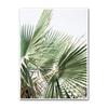 Kitchen Shop Cafe Wall Art s HD2862 Quote Decor Herbs Plants Canvas Prints Coffee Pictures