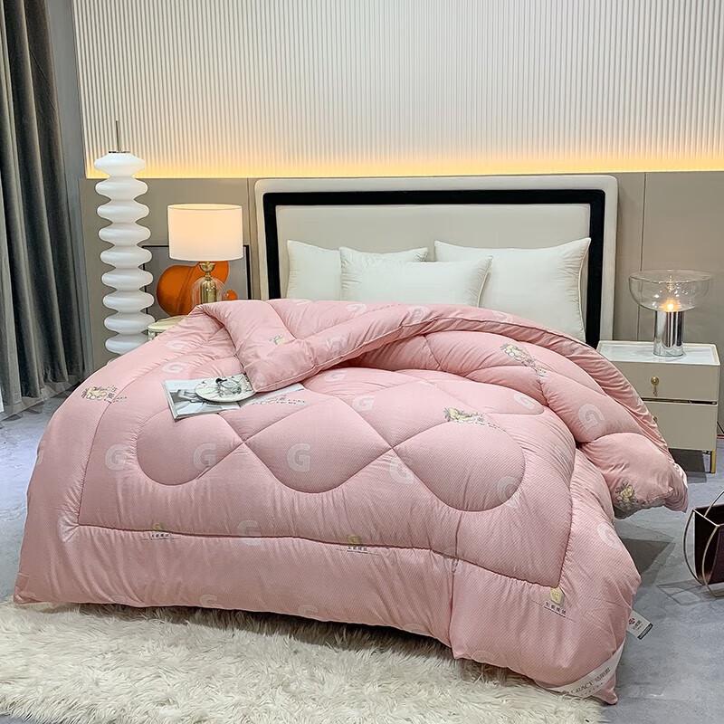 

Juncheng All-Season Single Quilt