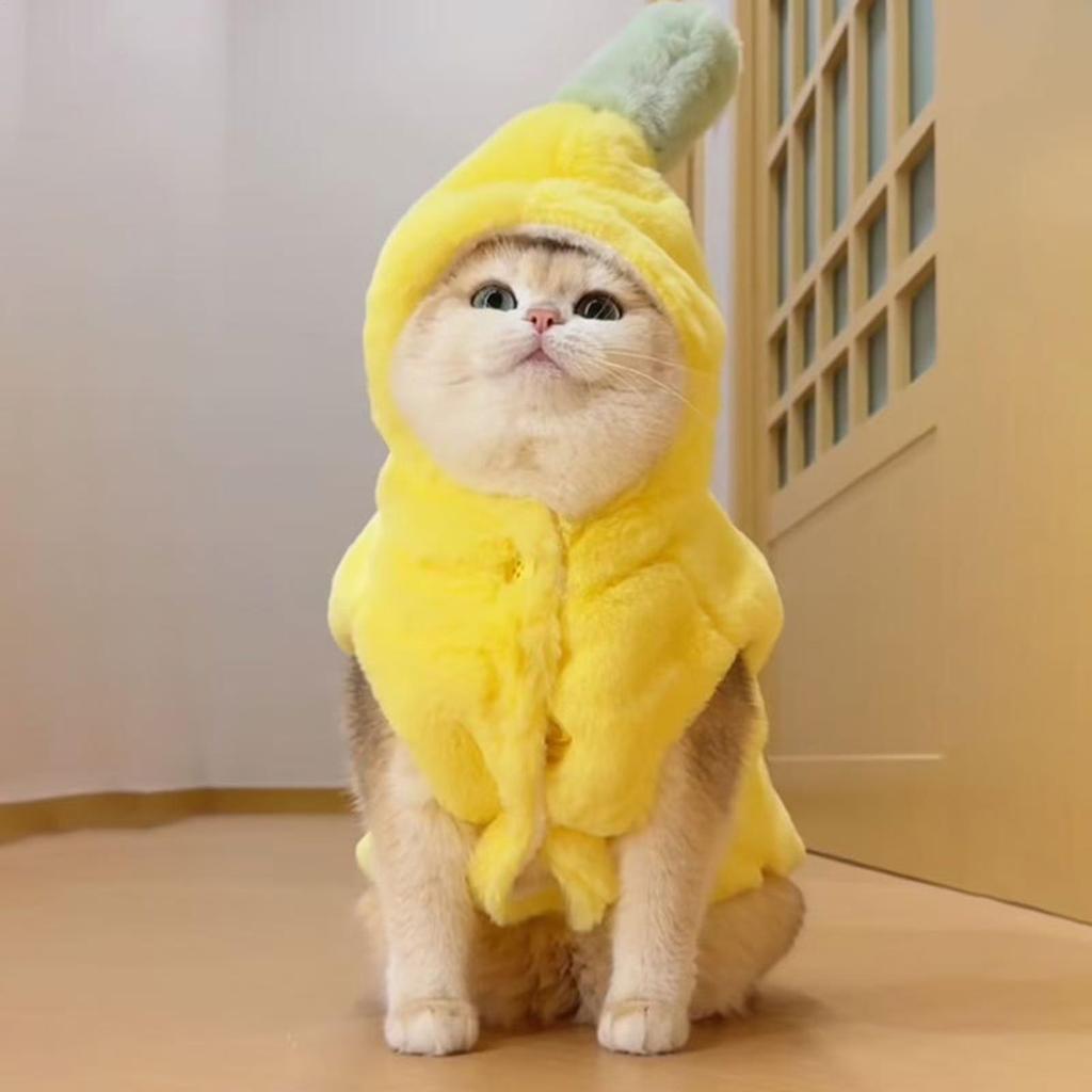 Cat Banana Costume Banana Shaped Outfit Dress Up Outfit For Small Medium Breed Pet Dogs Cat Halloween Christmas Spring Fall
