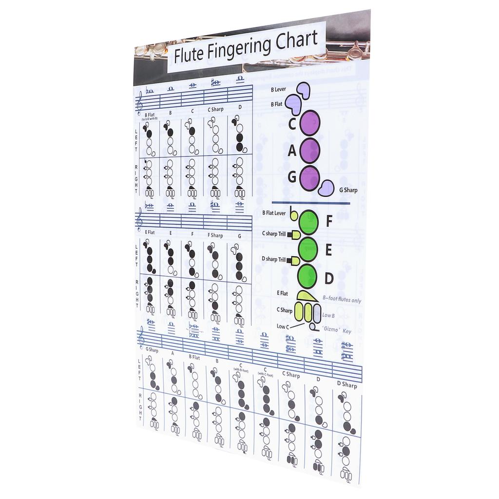 Diagramma Accordi Dita Flauto Studente Principiante Ausili Didattici per la Pratica Accessori Strumento
