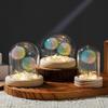 Luminous Dandelion Preserved Flower Bouquet Night Light in Glass Dome - Birthday Gift for Girls or Girlfriend