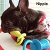 Small Pet Chew Toy Soft Small Rubber Pacifiers Training Dog Toys Molar Tooth Cleaning Toy for Puppy Dog