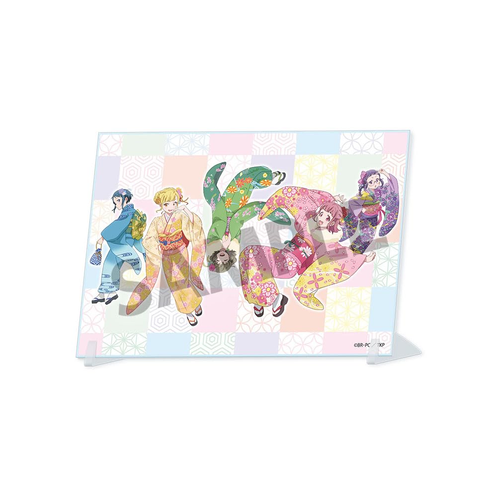 

A6 Visual Acrylic Formal Wear Turkey! Plate,