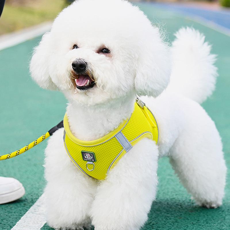 Vest-Style Harness and Leash Set for Small Dogs: Bichon, Teddy, Pomeranian