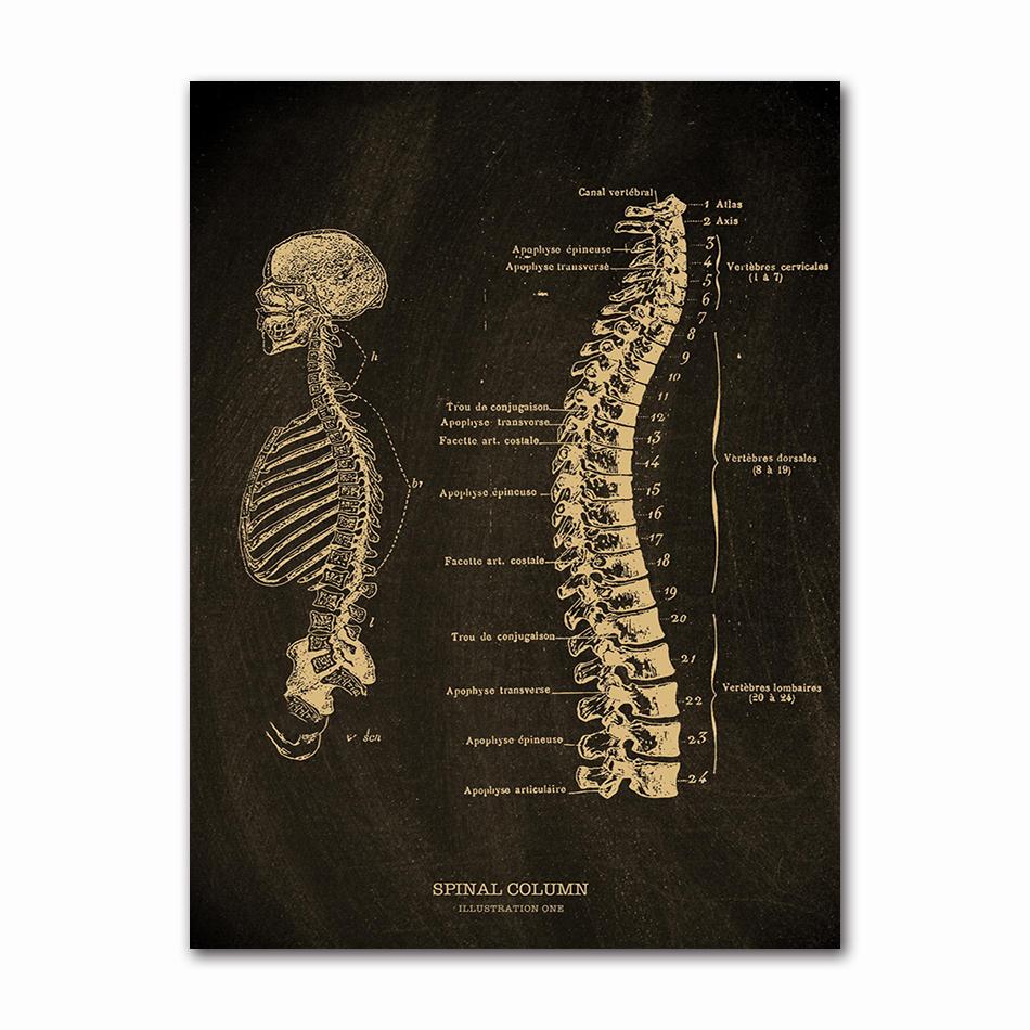Anatomical Skeleton Chalkboard Poster Kraft Paper Posters DIY Vintage Home Room Medicine Student Decor Medical Art Wall Painting
