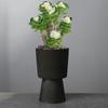Phalaenopsis Flower Pot Creative Fortune Tree Light Luxury Vertical Pattern Flower Pot Ceramic Black And White Nordic Simple Orchid Pot