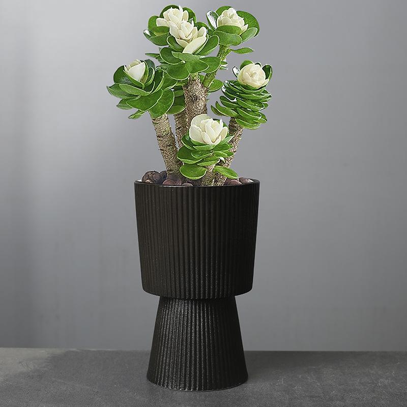 Phalaenopsis Flower Pot Creative Fortune Tree Light Luxury Vertical Pattern Flower Pot Ceramic Black And White Nordic Simple Orchid Pot