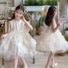 Girls' Dress 2026 New Style Princess Style, Big Children's Mesh Cake Skirt, Summer Fluffy Vest Skirt