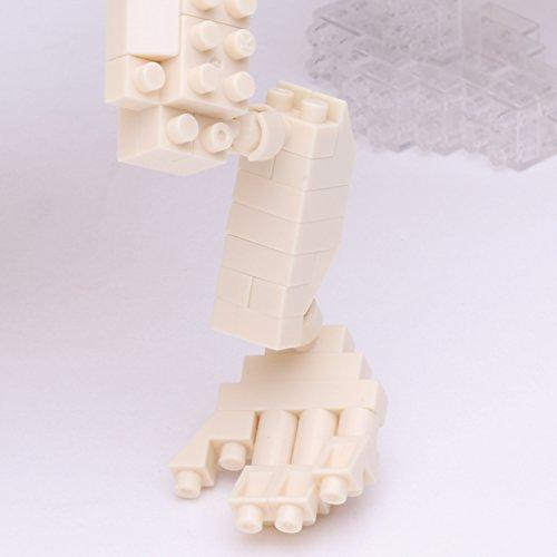Kawada Nanoblock Triceratops Skeleton Model NBM-017