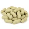 Silver Style Food Sample Peanuts of for and Photo Props Peanut & (Set 30) - Realistic, Display, Photography, (30 Samples)