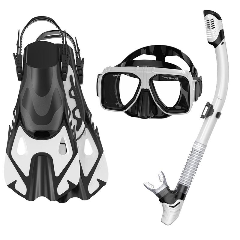 Adult Full-Face Snorkel Set