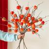 Persimmon Fruit Flower Arrangement: New Year's Dried Floral Decoration