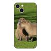 Black tpu Case For Samsung galaxy A3 A5 A7 2016 2017 2018 cover Capybara