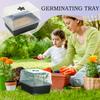 Mini Seedling Starter Tray Square Seedling Starting Kit Gardening Supplies For Succulents Vegetable Greenhouse Propagation