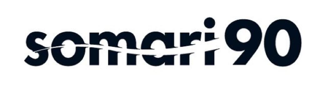 Ima Somari 90 Sinking Lure 015 (5682)