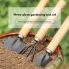 Horticulture Three Piece Set Potted Small Shovel Flower Bonsai Soil Loosening Flower Vegetable Planting Tools Garden Hand Tools
