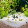 Fish Tank Artificial Water Plants Terrarium Aquarium Pots Decorations Plastic Live Small