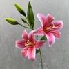 3D Printing Fake Lily Bouquet 2 Heads Wedding Bridal Bouquet  for Home Wedding Decor